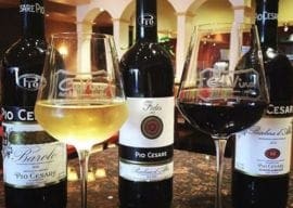 ALL WINE SPECIALS