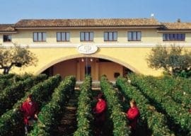 2018-10-04 FREE Wine Tasting -Marramiero Winery