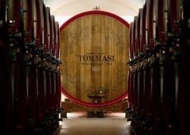 2019-09-17  FREE Wine Tasting Tommasi Family Estates