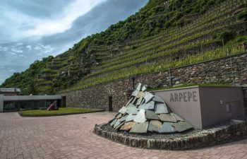 2019-10-08 FREE Wine Tasting ARPEPE Winery and Le Piane Winery