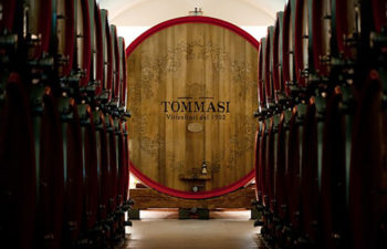 2020-02-04 TUESDAY TASTINGS 6 Wines from Tommasi Winery