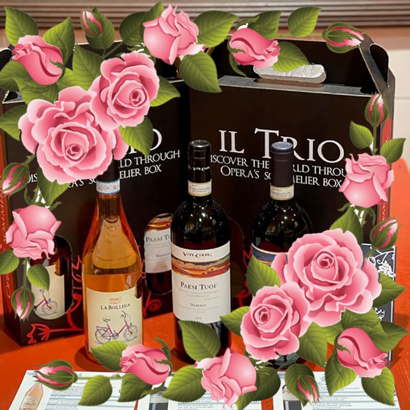 rose wine 6 pack