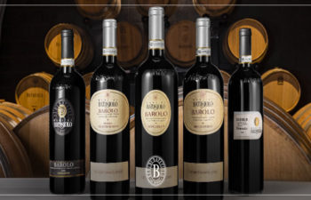Special Vault Release Batasiolo Wines