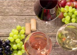 🍷FREE Wine Tasting 12-12-2023
