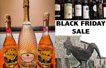 ⭐2024-11-29 Black Friday Sale⭐