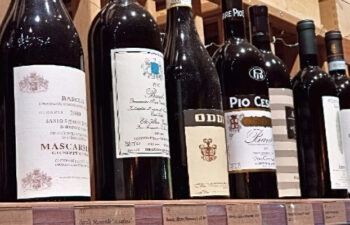 2025-11-28 Black Friday Sale