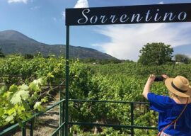 03-17-26 Special Guest Wine Tasting 6-8pm