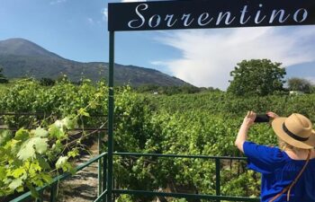 03-17-26 Special Guest Wine Tasting 6-8pm