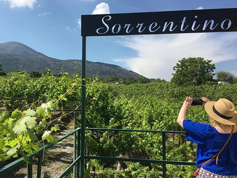 03-17-26 Special Guest Wine 6-8pm