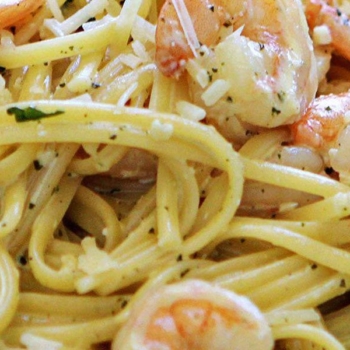 Gamberetti Alfredo