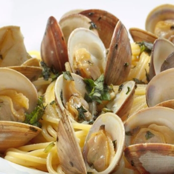 Vongole
