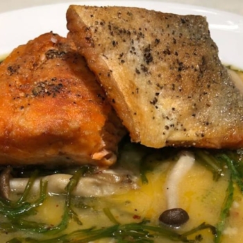 New Zealand King Salmon